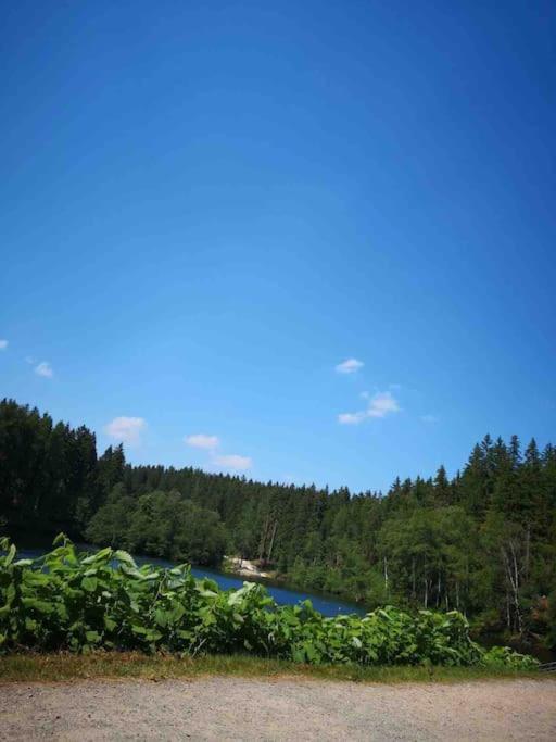 Ferienhaus In Schoenheide Im Schoenen Erzgebirge Eksteriør bilde