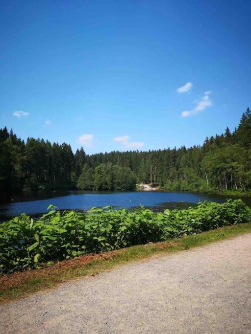 Ferienhaus In Schoenheide Im Schoenen Erzgebirge Eksteriør bilde